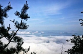 山外山香煙怎么樣(利群山外山香煙種類及價格)